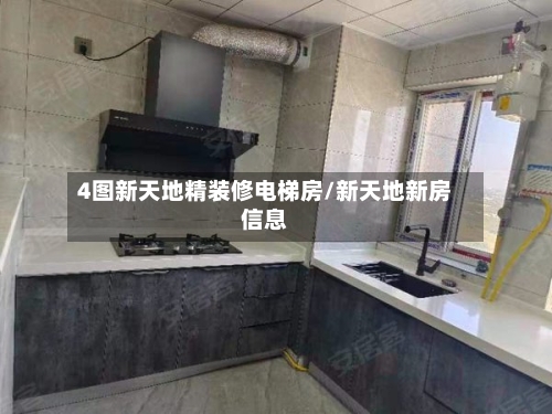 4图新天地精装修电梯房/新天地新房信息-第2张图片