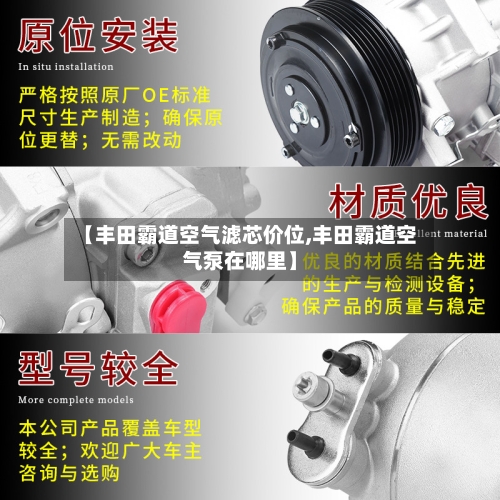 【丰田霸道空气滤芯价位,丰田霸道空气泵在哪里】-第3张图片
