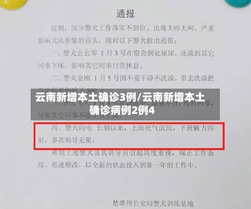 云南新增本土确诊3例/云南新增本土确诊病例2例4