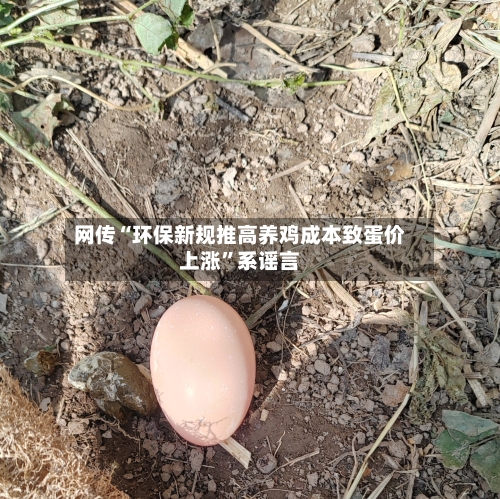 网传“环保新规推高养鸡成本致蛋价上涨”系谣言-第2张图片