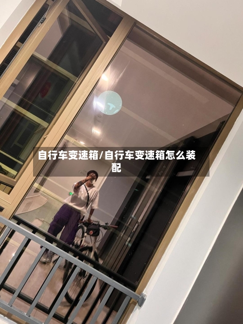 自行车变速箱/自行车变速箱怎么装配-第2张图片