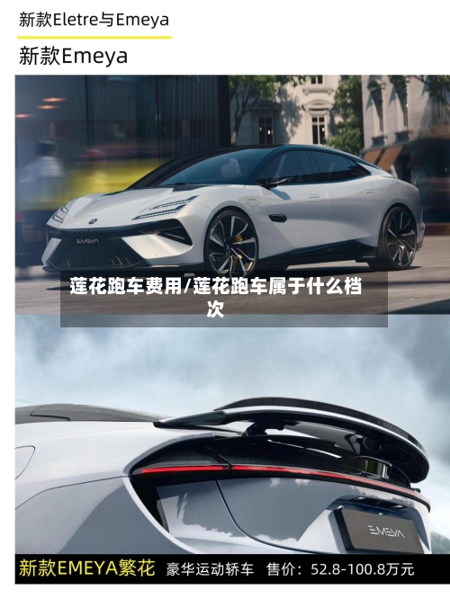 莲花跑车费用/莲花跑车属于什么档次-第2张图片