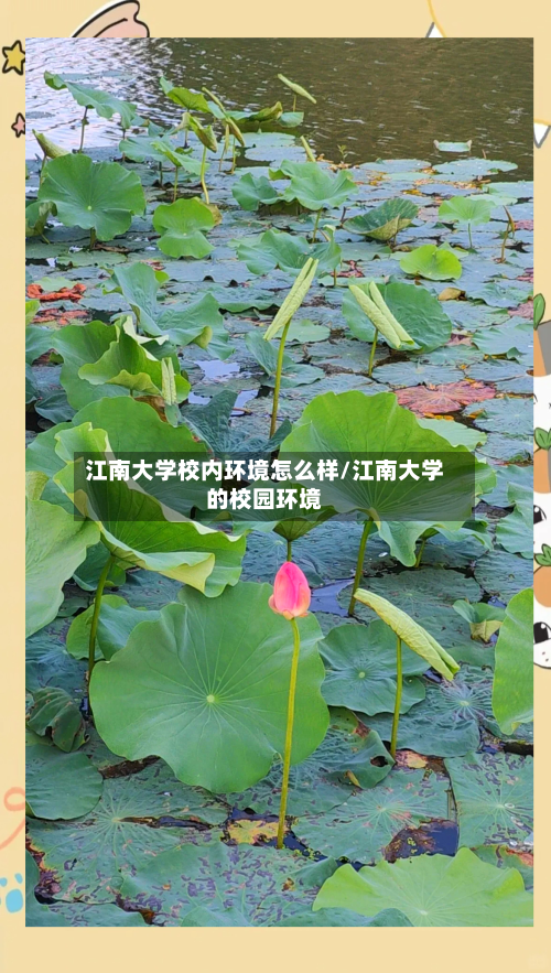 江南大学校内环境怎么样/江南大学的校园环境