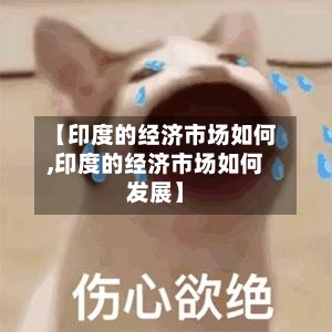 【印度的经济市场如何,印度的经济市场如何发展】
