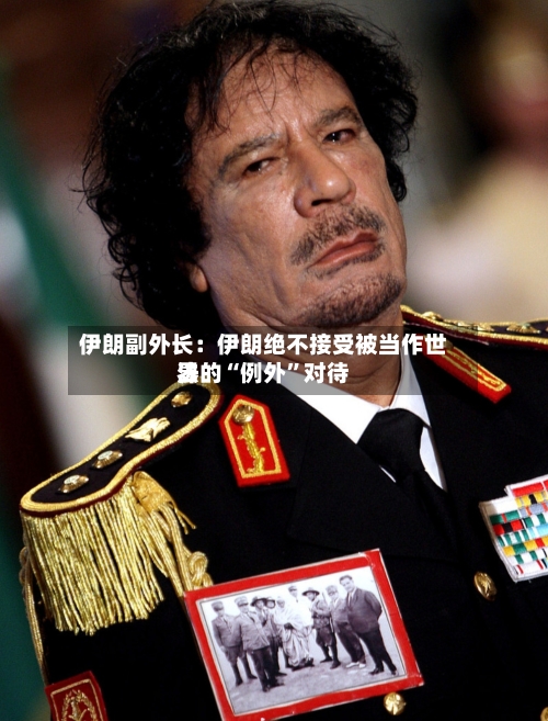 伊朗副外长：伊朗绝不接受被当作世界法的“例外”对待-第2张图片