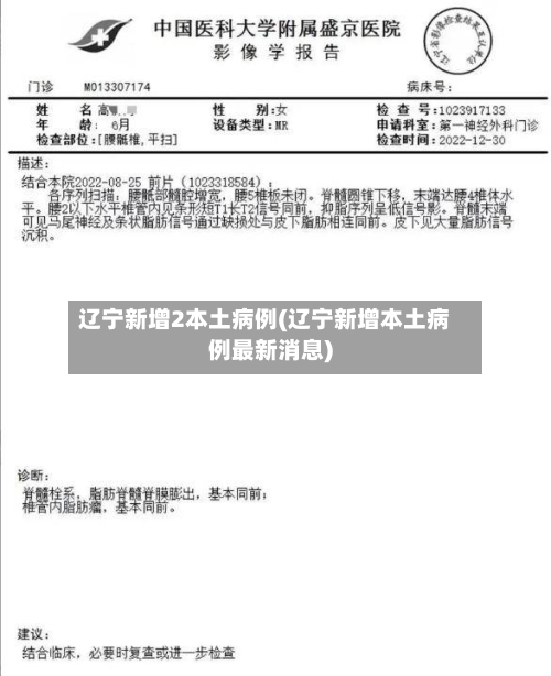辽宁新增2本土病例(辽宁新增本土病例最新消息)