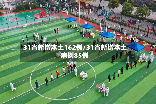 31省新增本土162例/31省新增本土病例85例