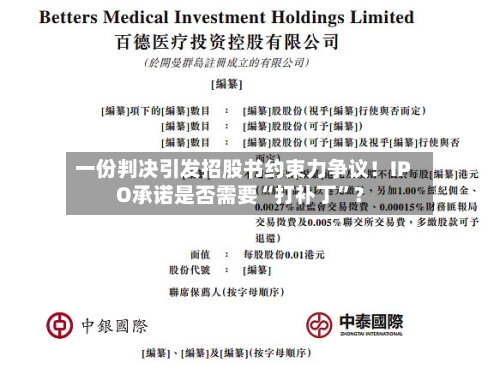 一份判决引发招股书约束力争议！IPO承诺是否需要“打补丁”？-第2张图片