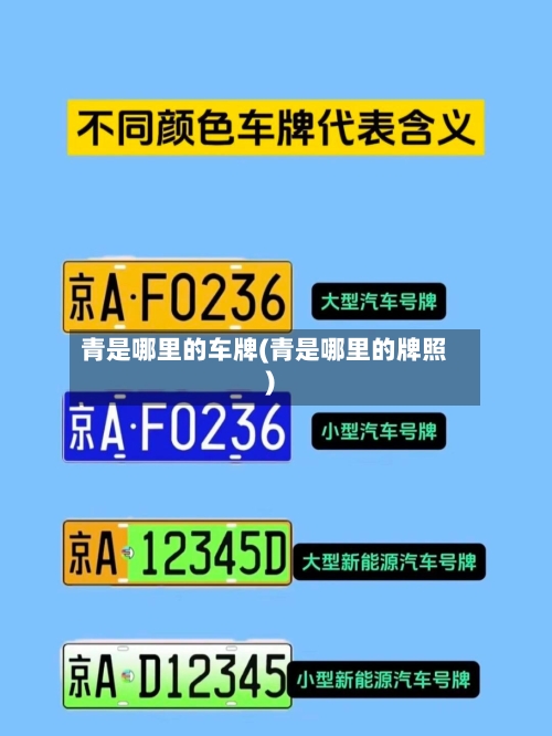 青是哪里的车牌(青是哪里的牌照)