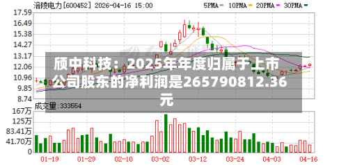颀中科技：2025年年度归属于上市公司股东的净利润是265790812.36元-第2张图片