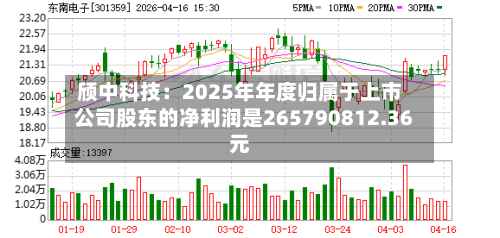 颀中科技：2025年年度归属于上市公司股东的净利润是265790812.36元-第3张图片