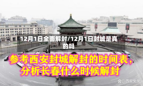 12月1日全面解封/12月1日封城是真的吗-第3张图片