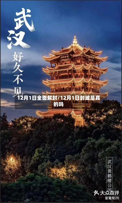12月1日全面解封/12月1日封城是真的吗-第2张图片