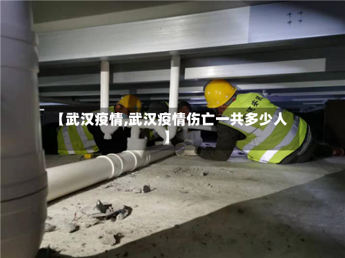 【武汉疫情,武汉疫情伤亡一共多少人】-第2张图片
