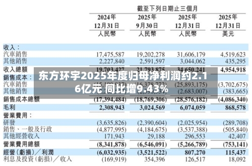 东方环宇2025年度归母净利润约2.16亿元 同比增9.43%