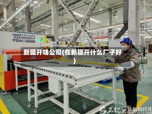 新疆开啥公司(在新疆开什么厂子好)