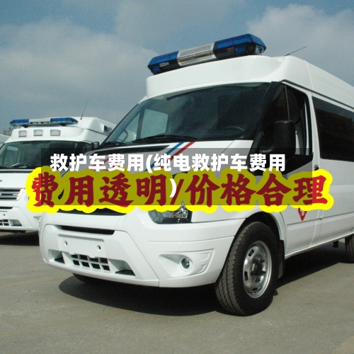 救护车费用(纯电救护车费用)