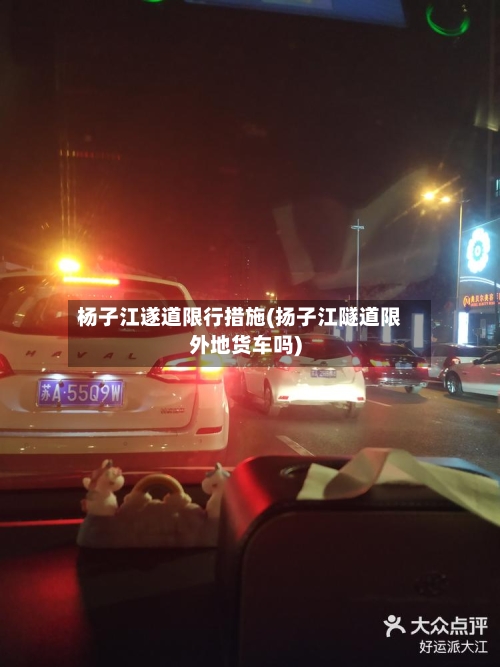 杨子江遂道限行措施(扬子江隧道限外地货车吗)-第2张图片