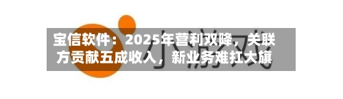 宝信软件：2025年营利双降	，关联方贡献五成收入，新业务难扛大旗-第2张图片