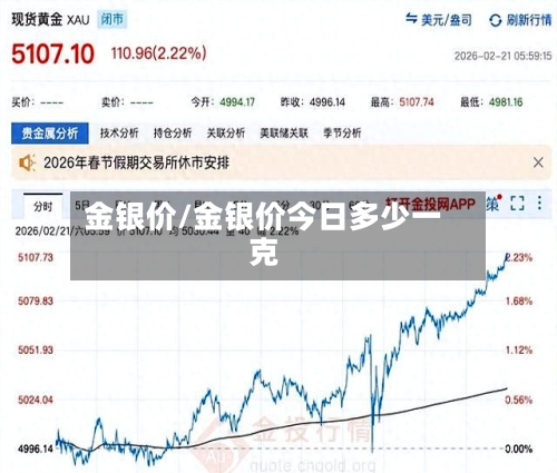 金银价/金银价今日多少一克