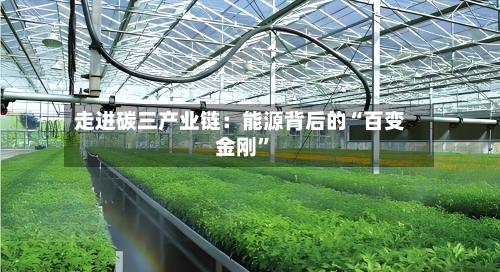 走进碳三产业链：能源背后的“百变金刚”