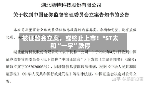 被证监会立案，或终止上市！*ST太和“一字	”跌停-第2张图片