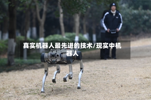 真实机器人最先进的技术/现实中机器人