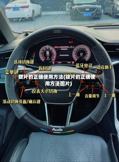 拨片的正确使用方法(拨片的正确使用方法图片)-第2张图片