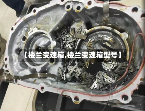【楼兰变速箱,楼兰变速箱型号】