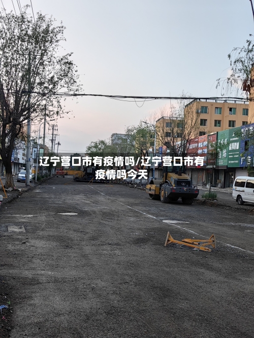 辽宁营口市有疫情吗/辽宁营口市有疫情吗今天