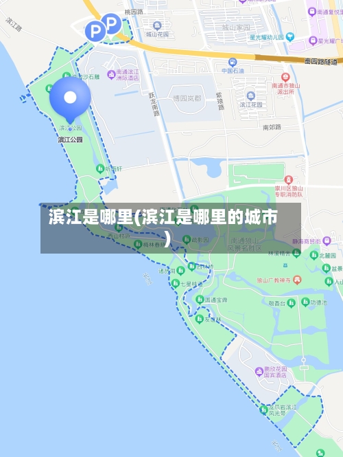 滨江是哪里(滨江是哪里的城市)
