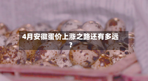 4月安徽蛋价上涨之路还有多远？-第2张图片
