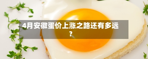 4月安徽蛋价上涨之路还有多远？-第3张图片