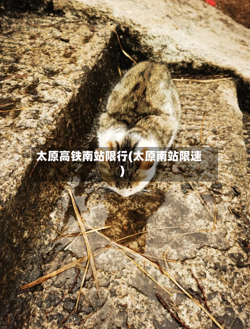 太原高铁南站限行(太原南站限速)-第3张图片