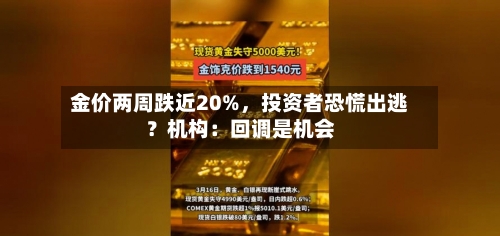 金价两周跌近20%，投资者恐慌出逃？机构：回调是机会
