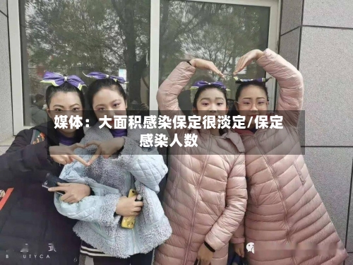 媒体：大面积感染保定很淡定/保定感染人数