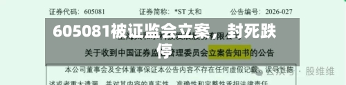 605081被证监会立案	，封死跌停-第2张图片
