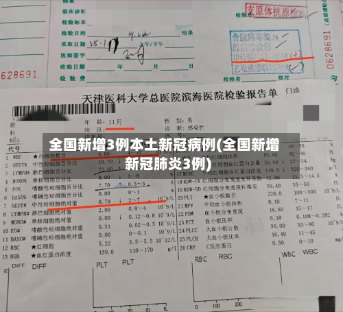 全国新增3例本土新冠病例(全国新增新冠肺炎3例)