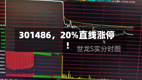 301486，20%直线涨停！