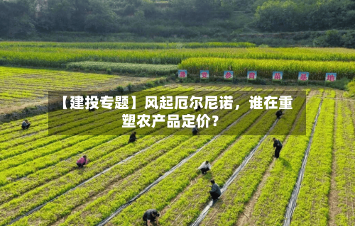 【建投专题】风起厄尔尼诺，谁在重塑农产品定价？