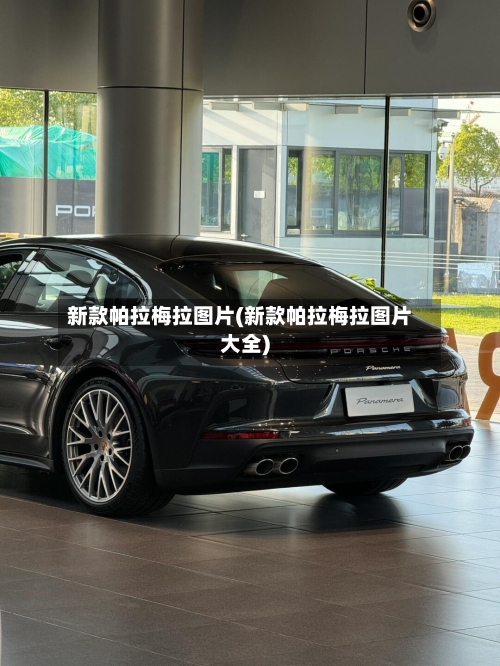 新款帕拉梅拉图片(新款帕拉梅拉图片大全)