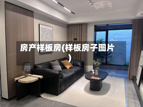 房产样板房(样板房子图片)