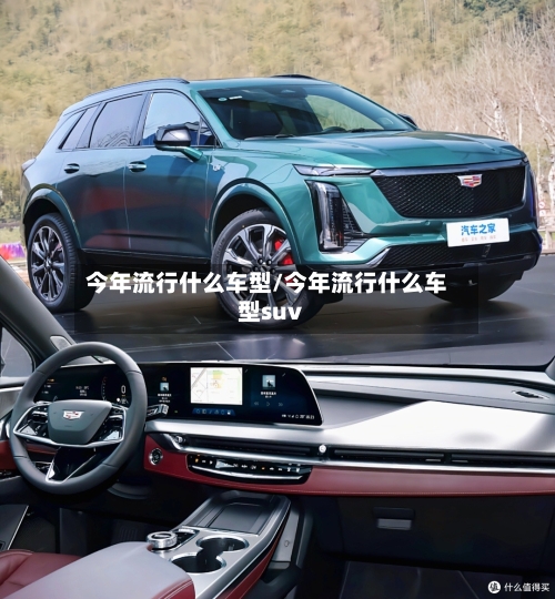 今年流行什么车型/今年流行什么车型suv