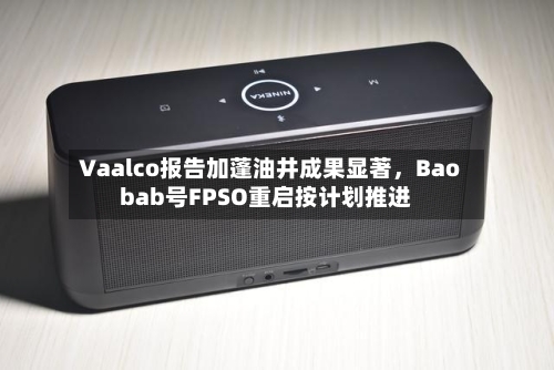 Vaalco报告加蓬油井成果显著，Baobab号FPSO重启按计划推进-第2张图片