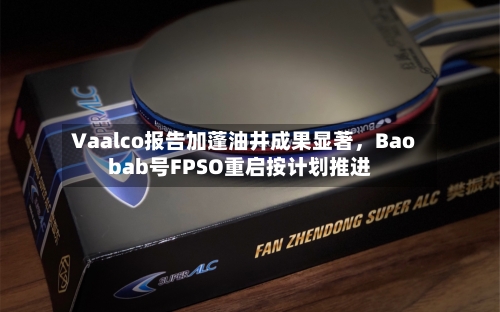 Vaalco报告加蓬油井成果显著，Baobab号FPSO重启按计划推进-第3张图片