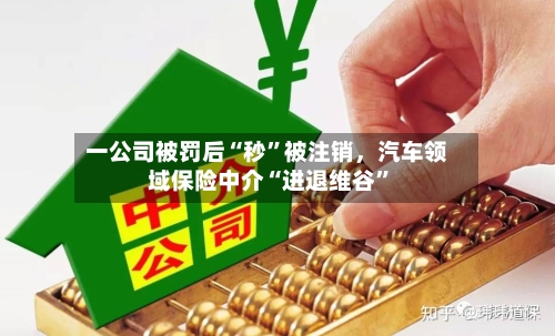 一公司被罚后“秒”被注销，汽车领域保险中介“进退维谷”-第3张图片