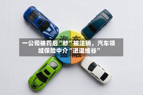 一公司被罚后“秒	”被注销，汽车领域保险中介“进退维谷”-第2张图片