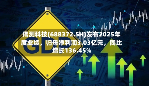 伟测科技(688372.SH)发布2025年度业绩，归母净利润3.03亿元	，同比增长136.45%-第2张图片