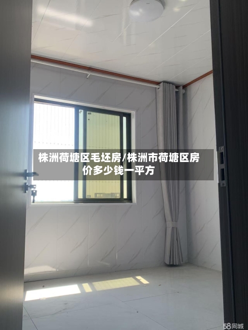 株洲荷塘区毛坯房/株洲市荷塘区房价多少钱一平方