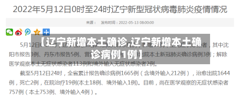 【辽宁新增本土确诊,辽宁新增本土确诊病例1例】-第2张图片